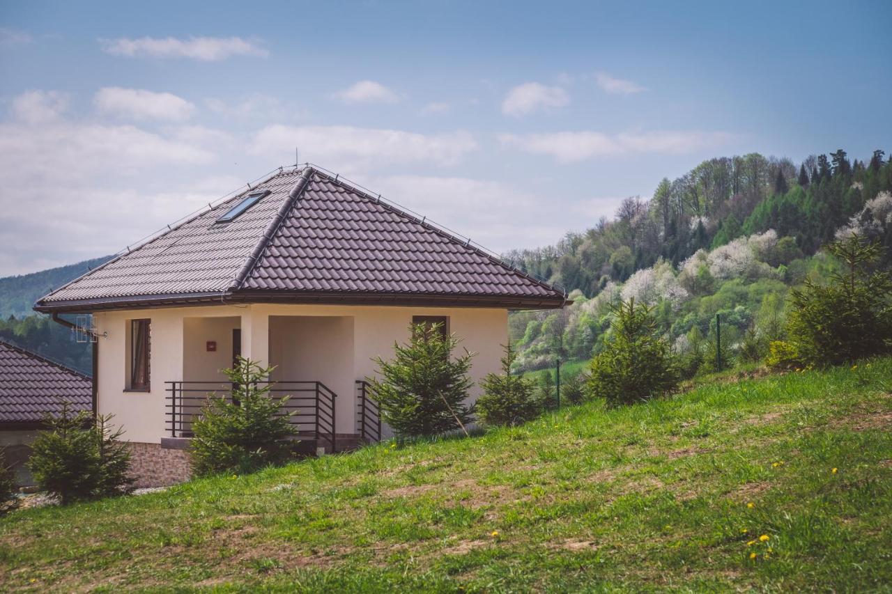 W Bieszczadach * Wolkowyja