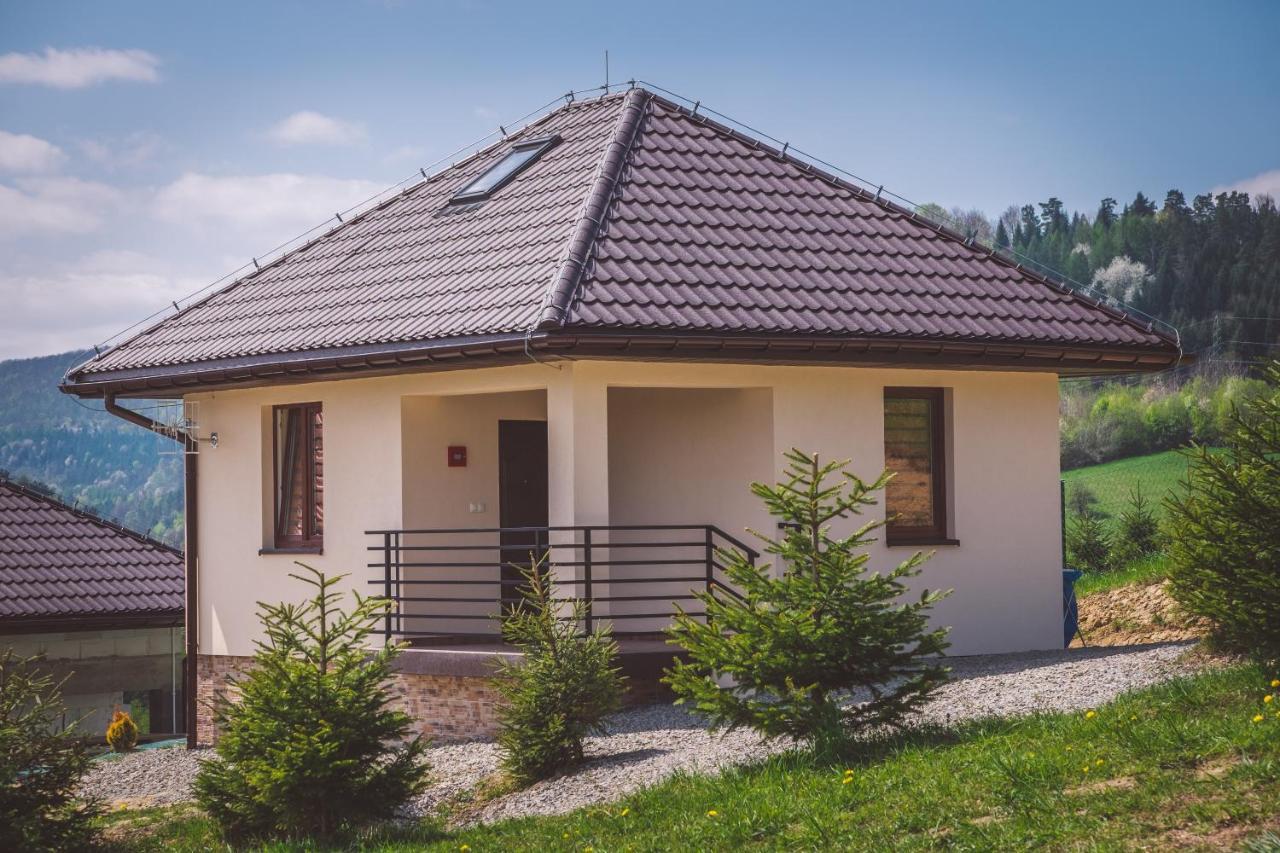 W Bieszczadach *